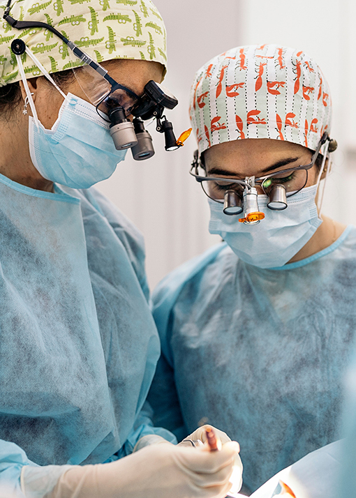 Hair Transplant Surgery